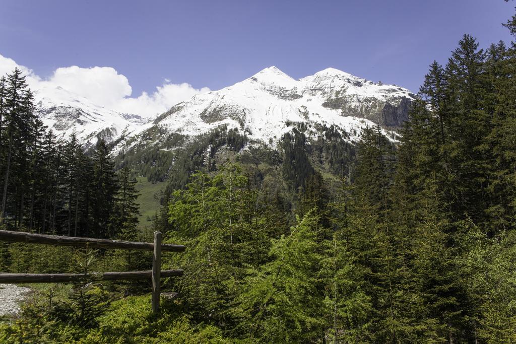 Gasthof Andrelwirt Rauris Dış mekan fotoğraf